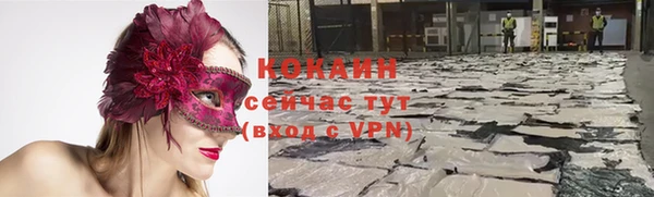 дживик Алексин