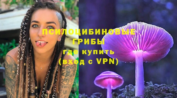дживик Алексин