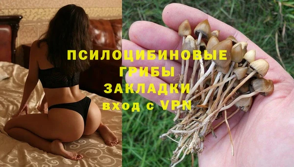 дживик Алексин